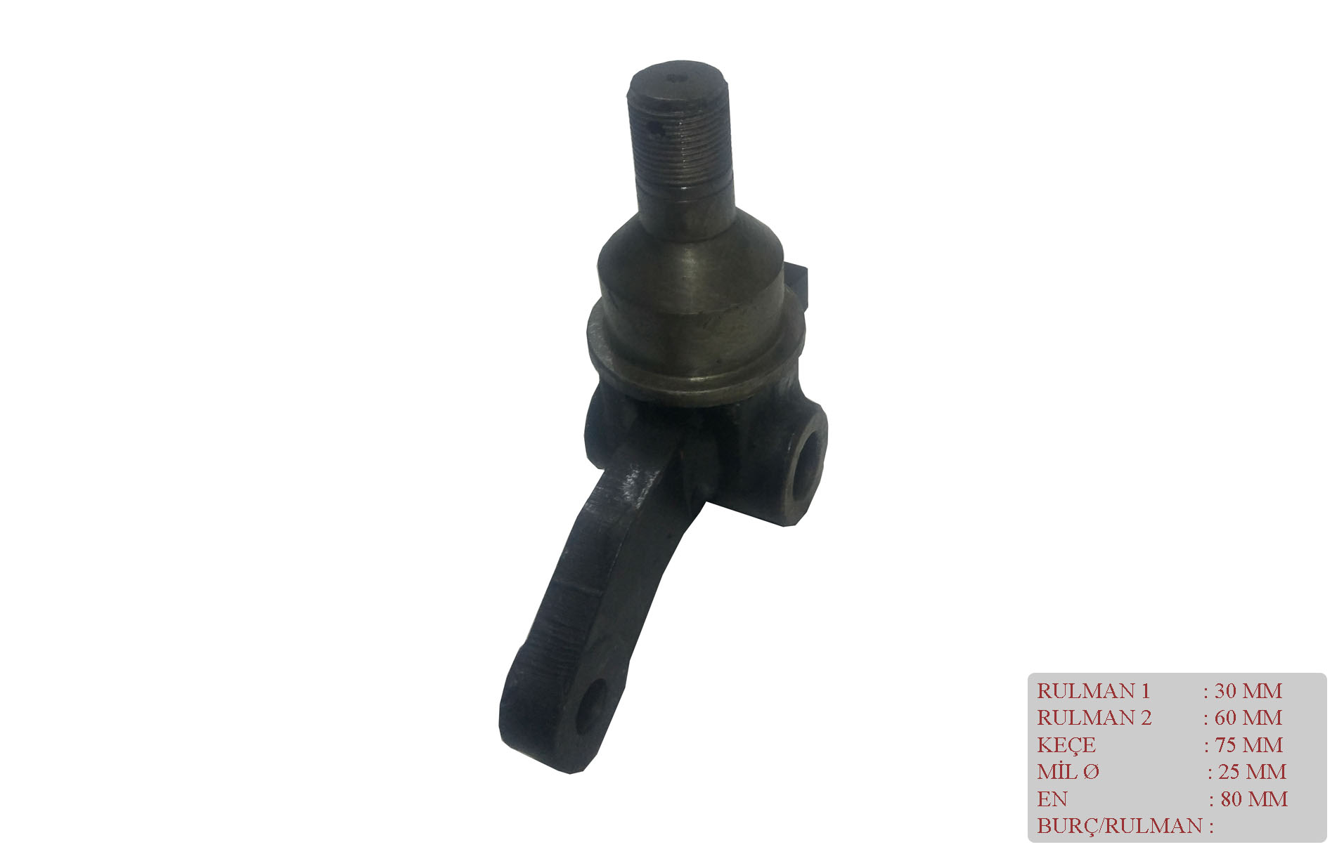 AKSON LH TCM FB25